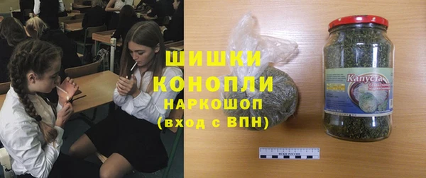 шишки Переславль-Залесский