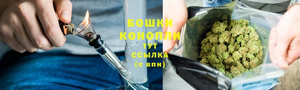 шишки Переславль-Залесский