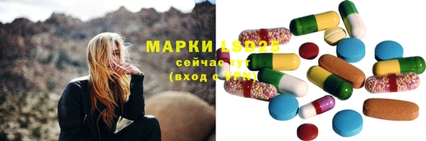 ALPHA PVP Покров