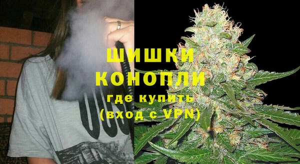 2c-b Пересвет