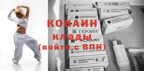 ALPHA PVP Покров