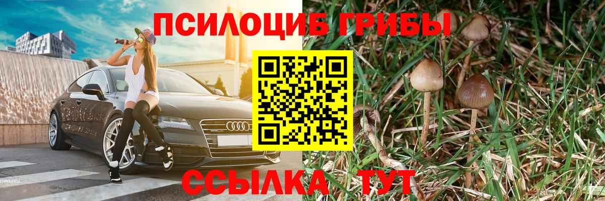 Саров  Галлюциногенные грибы Cubensis  Вход с VPN 